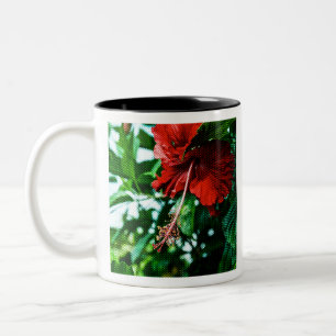 Taza Bicolor Flor roja hibiscus