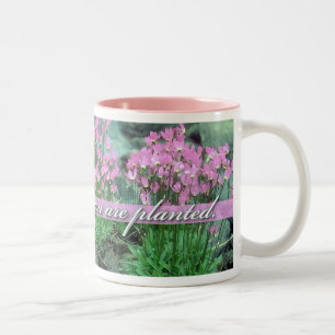 Taza Bicolor Floración donde le plantan, estrella fugaz