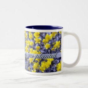 Taza Bicolor Floración donde le plantan, Wildflowers amarillos