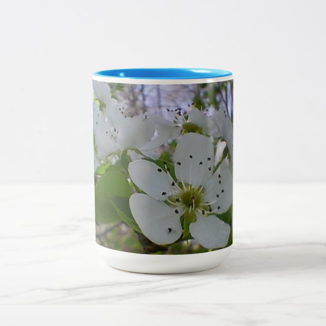 Taza Bicolor Florecimiento de primavera (Centro)
