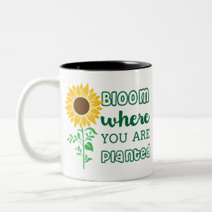 Taza Bicolor Florecimiento Donde Se Plantan Arte De Girasol