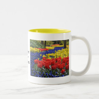 Taza Bicolor Flores de Holanda, Keukenhof