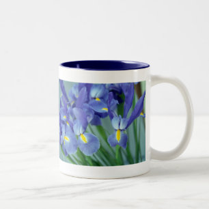 Taza Bicolor Flores de iris morado Foto Arte Café Mugs