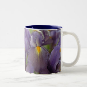 Taza Bicolor Flores de iris morado Foto Arte Café Mugs