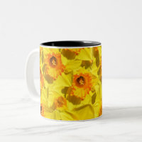 Flores de la medalla de oro de varios Daffodils