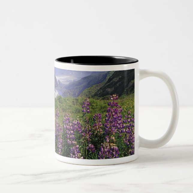 Taza Bicolor Flores de lucio y costas escarpadas (Derecha)