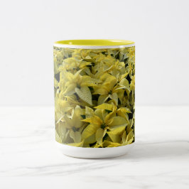Taza Bicolor Flores de Nochebuena Doradas para Navidad