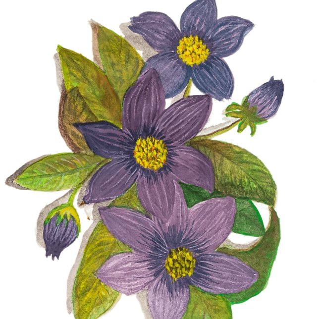Taza Bicolor flores moradas (Subido por el creador)