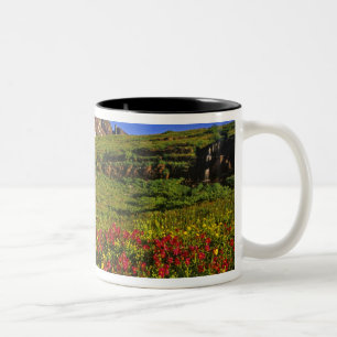 Taza Bicolor Flores silvestres alpinas en Logan Pass en Glacier