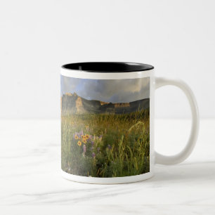Taza Bicolor Flores silvestres de la pradera en Many Glacier Va