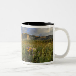 Taza Bicolor Flores silvestres de la pradera en Windy Creek en