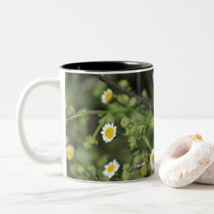 Taza Bicolor Flores silvestres margarita de roca del desierto d