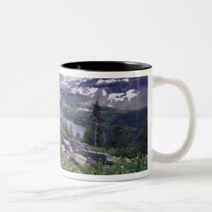 Taza Bicolor Flores silvestres y lago escondido, arbustivo