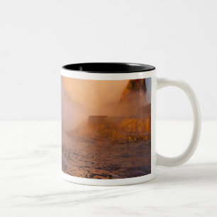 Taza Bicolor Fly Geyser en el desierto de Black Rock