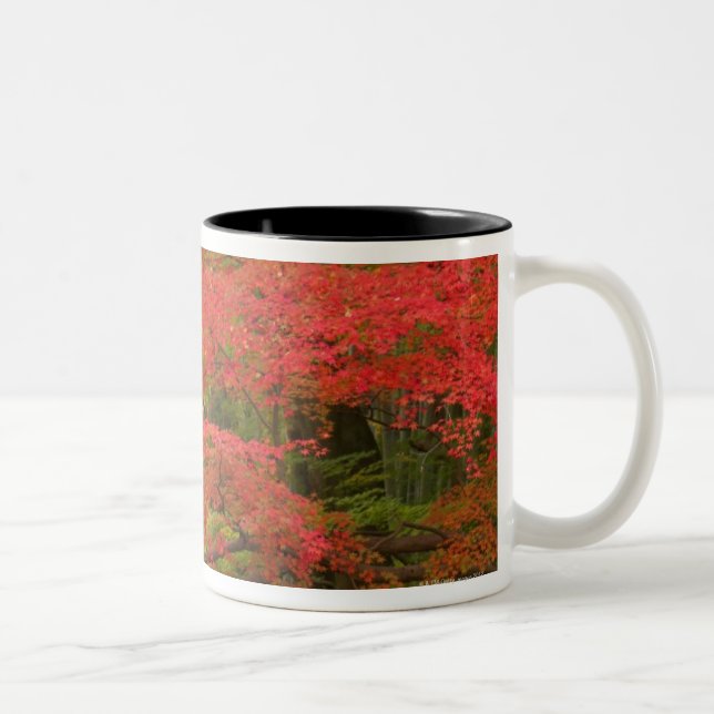 Taza Bicolor Follaje de otoño japonés (Derecha)