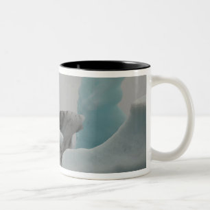 Taza Bicolor Formaciones de iceberg