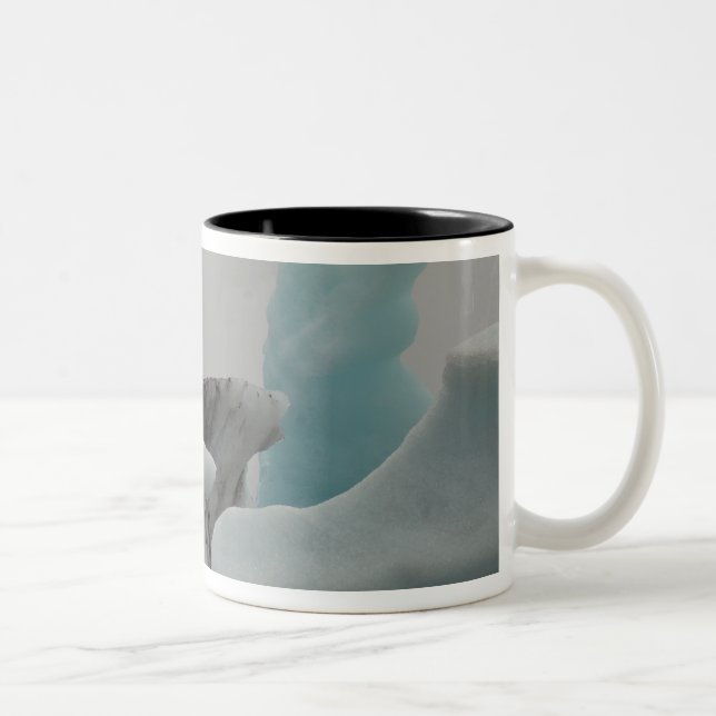 Taza Bicolor Formaciones de iceberg (Derecha)