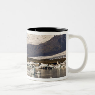 Taza Bicolor Formaciones de iceberg
