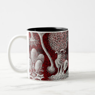 Taza Bicolor Formas artísticas de la naturaleza Café de dos ton