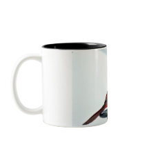 Foto cardinal septentrional