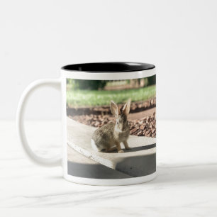 Taza Bicolor foto de conejo de Pascua de primavera