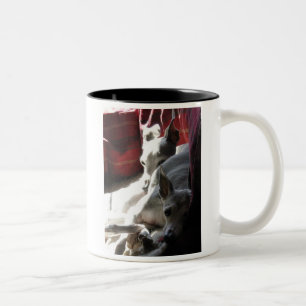 Taza Bicolor foto de galgo italiano "Mejores Amigos"