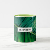 Foto de la naturaleza tropical de la hoja verde