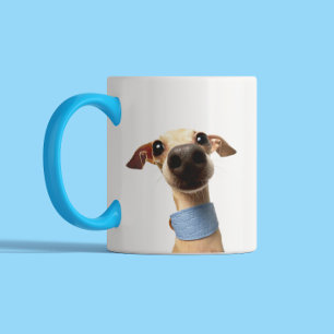 Taza Bicolor Foto de mascota personalizada moderna Meeko