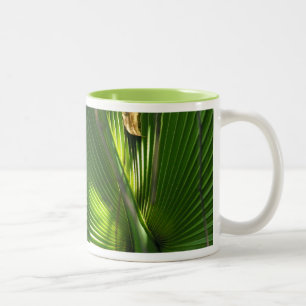 Taza Bicolor Foto de primer plano de Saw Palmetto