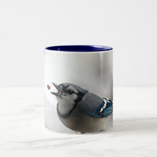 Taza Bicolor Foto del arrendajo azul