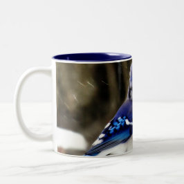 Taza Bicolor Foto del arrendajo azul