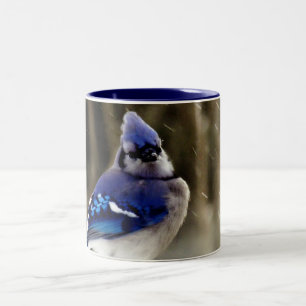 Taza Bicolor Foto del arrendajo azul