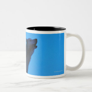 Taza Bicolor Foto, lobo blanco que grita en la noche, color,
