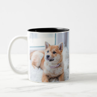Taza Bicolor Foto personalizada de doble cara