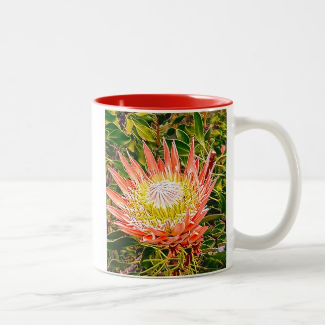 Taza Bicolor Fotografía de flor australiana Protea (Derecha)
