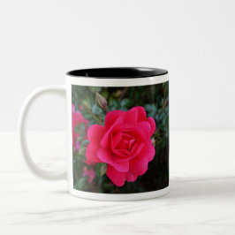Taza Bicolor Fotografía de flor rosa rosa rosa rosa bonito