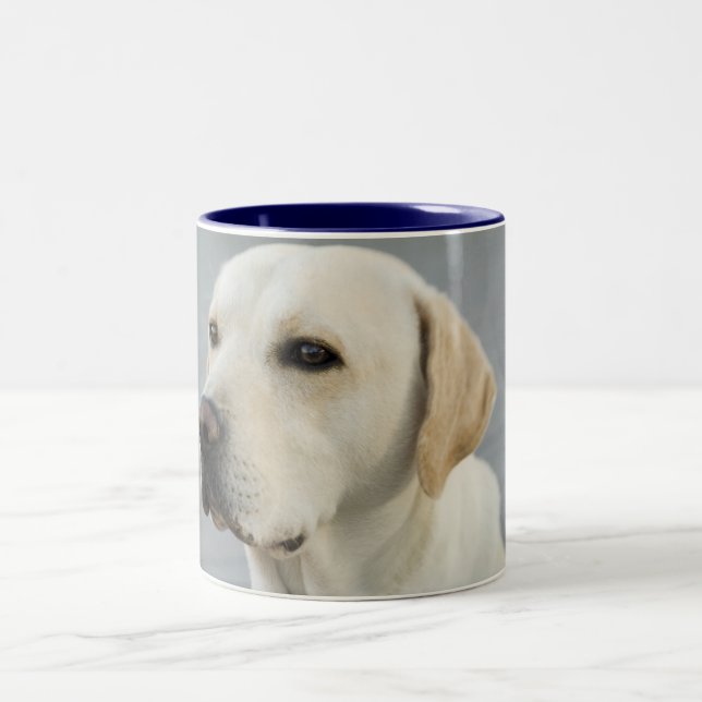 Taza Bicolor Fotografía de oro del labrador retriever (Centro)