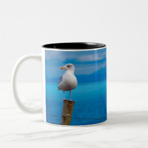Taza Bicolor Fotografía de pájaro de gaviota de pie