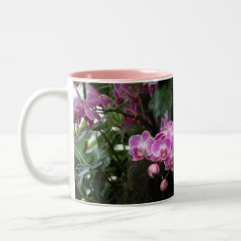 Taza Bicolor Fotografía Orquídea Rosa