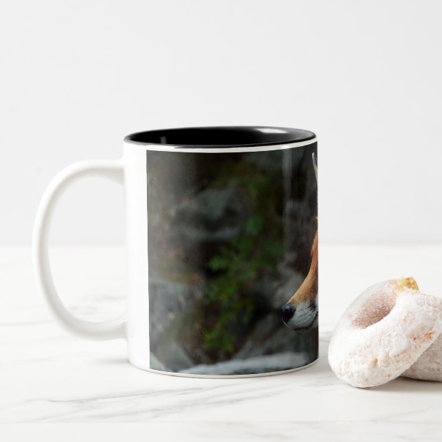 Taza Bicolor Fox (Con donut)