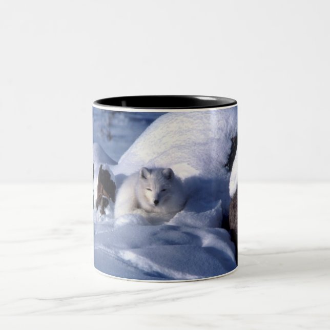 Taza Bicolor Fox Ártica en Nieve (Centro)