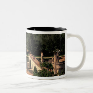 Taza Bicolor Francia, Aviñón, Provenza. Pont St, Benezet.