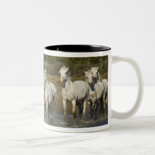 Taza Bicolor Francia, Camargue. Caballos corren a través del es