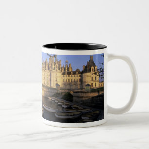 Taza Bicolor Francia, Centro, Loir et Cher, Chateau Chambord