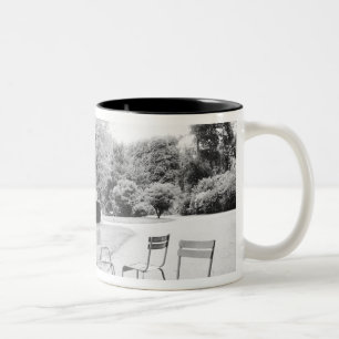 Taza Bicolor FRANCIA, París: Estatua de los Jardines de Luxembu