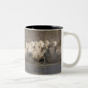 Taza Bicolor Francia, Provenza. Caballos blancos de Camargue co