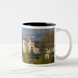 Taza Bicolor Francia, río Ródano, pueblo cerca de Vienne 2