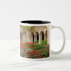 Taza Bicolor Francia, St. Remy de Provence, claustros a las 3