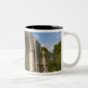 Taza Bicolor Francia, St. Remy de Provenza, Arco de Triunfo