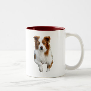 Taza Bicolor frontera collie2